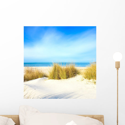 Grass White Sand Dunes