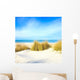 Grass White Sand Dunes