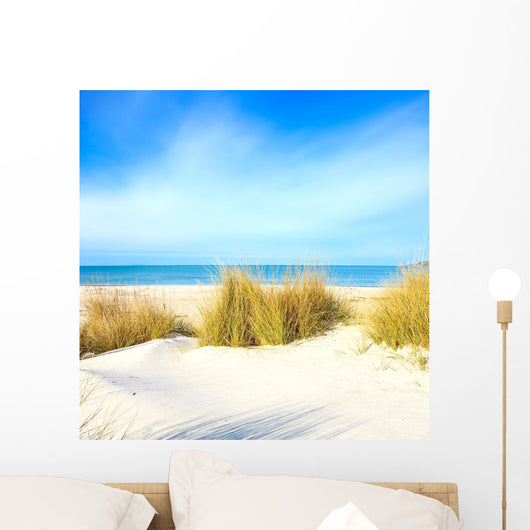 Grass White Sand Dunes