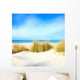 Grass White Sand Dunes