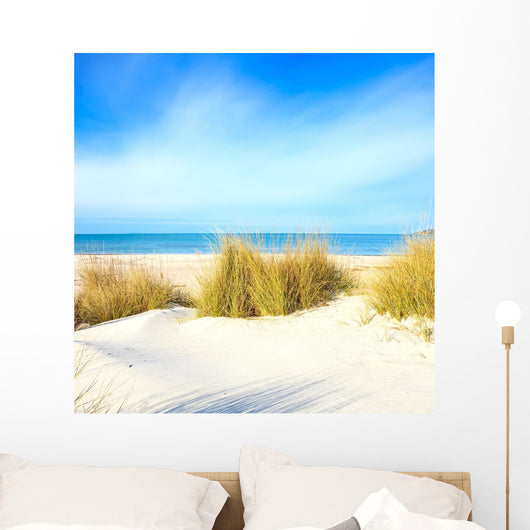 Grass White Sand Dunes