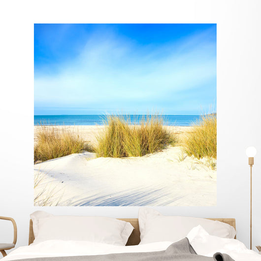 Grass White Sand Dunes