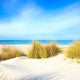 Grass White Sand Dunes