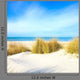 Grass White Sand Dunes