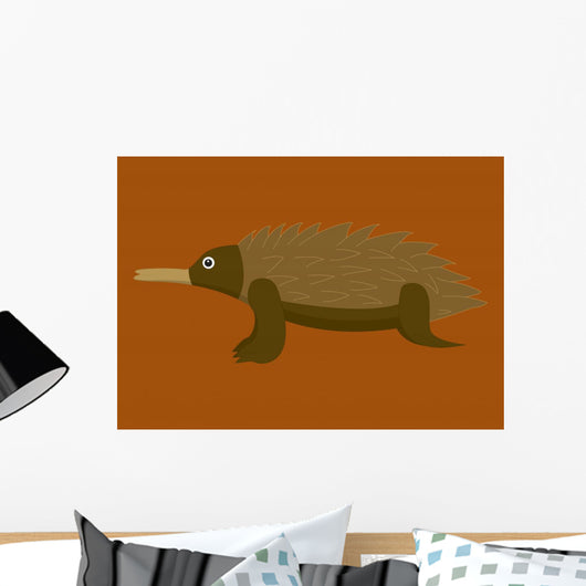 Australian Echidna Brown