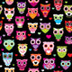 Seamless Retro Owl Colorful Wall Decal
