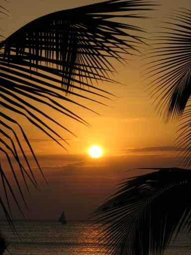 Sail Sunset Wall Decal