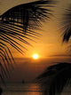 Sail Sunset Wall Decal
