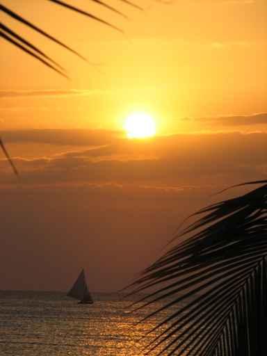 Sunset and Sail Wall Decal