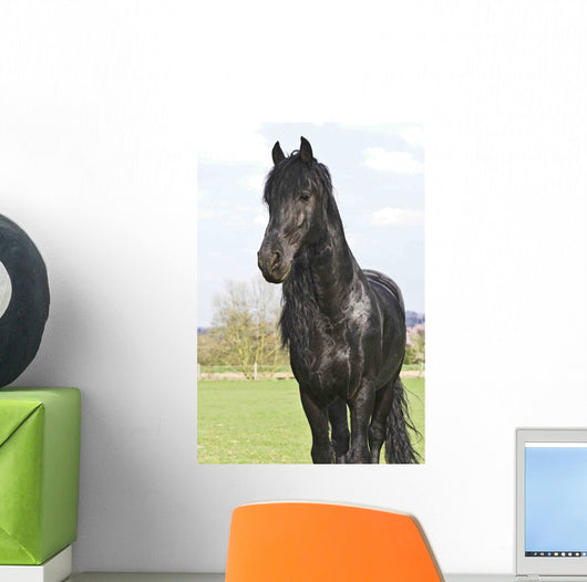 Frisian Wall Mural