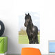 Frisian Wall Mural