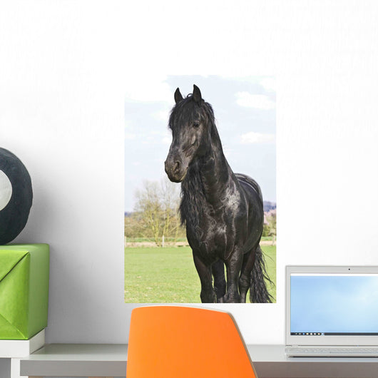 Frisian Wall Mural