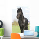 Frisian Wall Mural