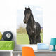 Frisian Wall Mural