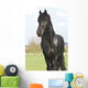 Frisian Wall Mural