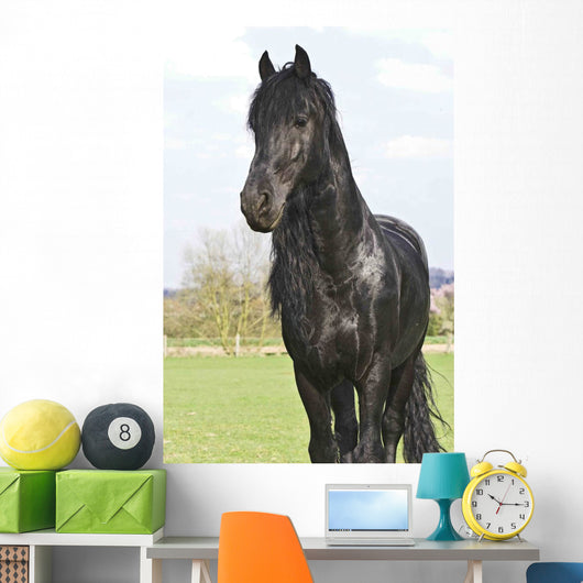 Frisian Wall Mural