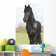 Frisian Wall Mural