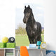Frisian Wall Mural