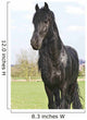 Frisian Wall Mural