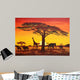 Sunset Africa