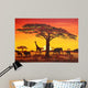 Sunset Africa