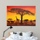 Sunset Africa