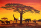 Sunset Africa
