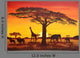 Sunset Africa