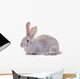 Rabbit against White Wall Decal