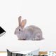 Rabbit Against White Background Wall Decal