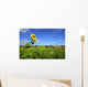Lone sunflower Wall Mural