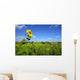 Lone sunflower Wall Mural