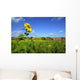 Lone sunflower Wall Mural