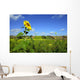 Lone sunflower Wall Mural