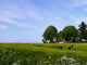 Farm Wall Decal