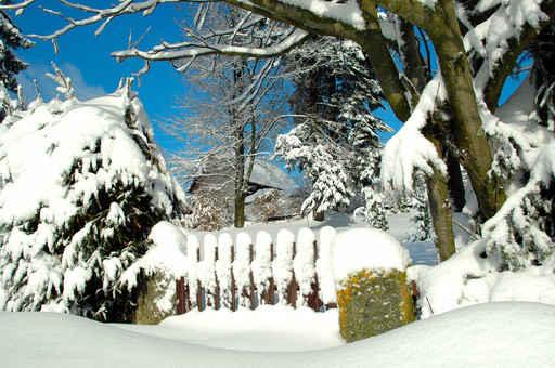Winter Snow on Fence Wall Decal