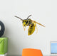 Wasp