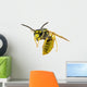 Wasp