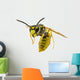 Wasp