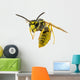 Wasp