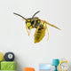 Wasp