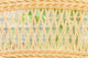 Rattan Wall Mural