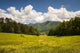 Cades Cove Great Smoky