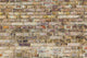 Pattern Brick Wall with Wall Decal