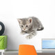 Gray Kitten Hunting Wall Decal