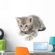 Gray Kitten Hunting Wall Decal