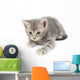 Gray Kitten Hunting Wall Decal