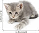Gray Kitten Hunting Wall Decal