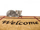 Kitten and welcome mat Wall Mural