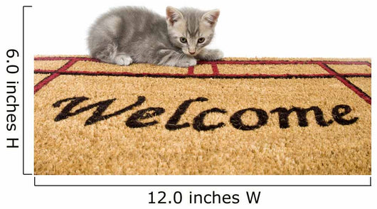 Kitten and welcome mat Wall Mural